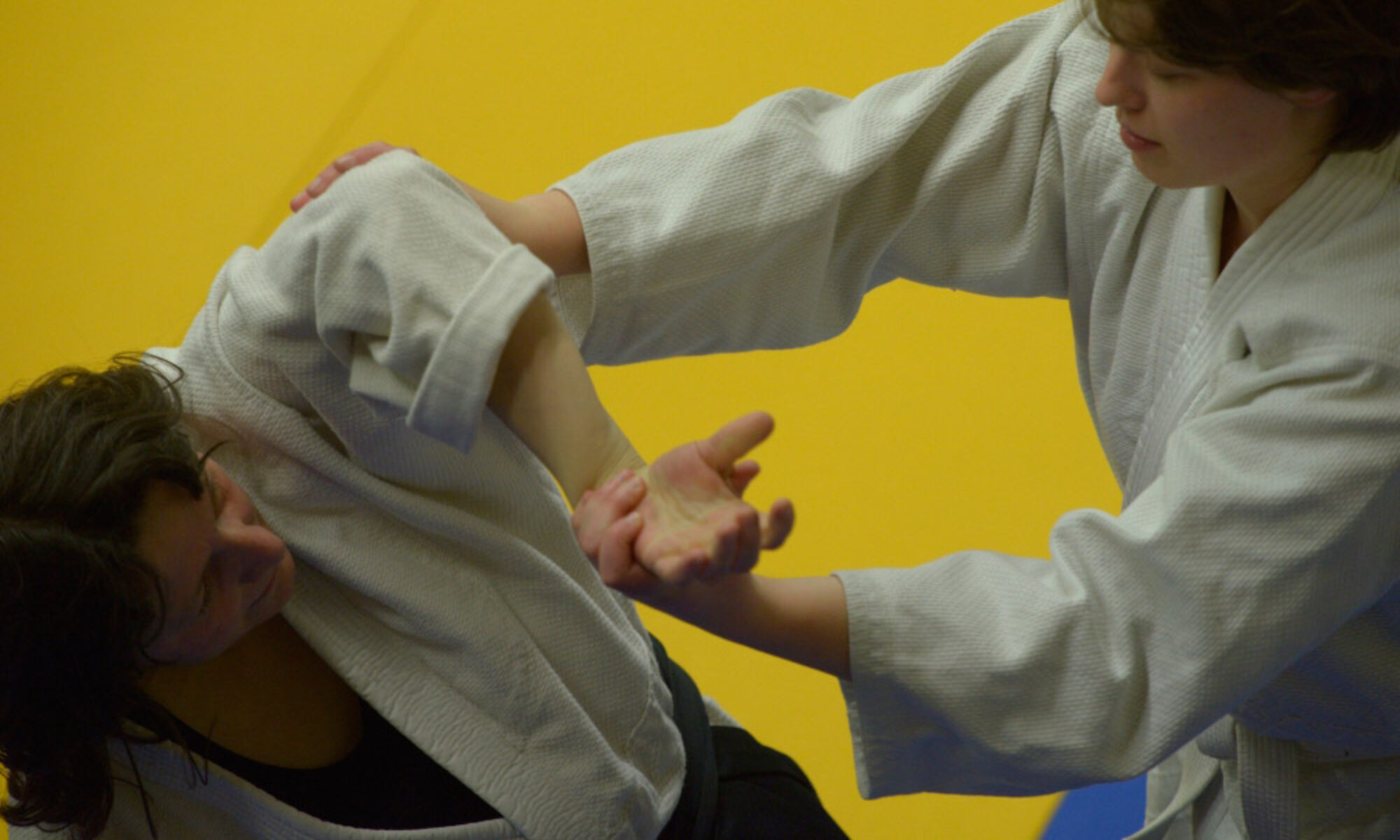 Grenoble Aïkido et Disciplines Associées